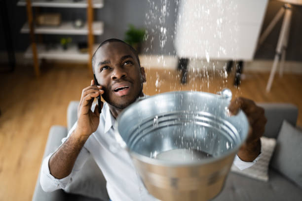 Best Flood damage cleanup  in Moundridge, KS