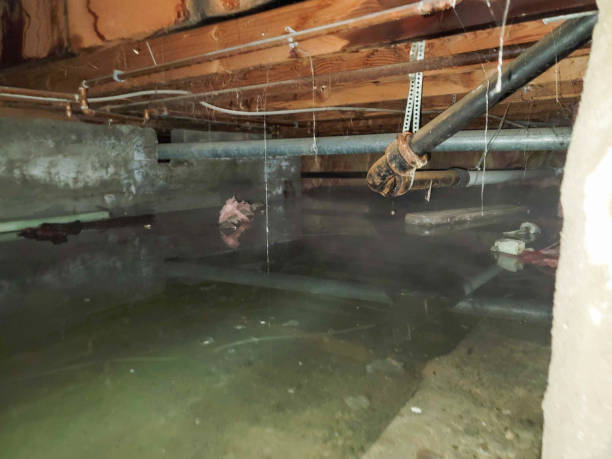 Best 24/7 water damage repair  in Moundridge, KS