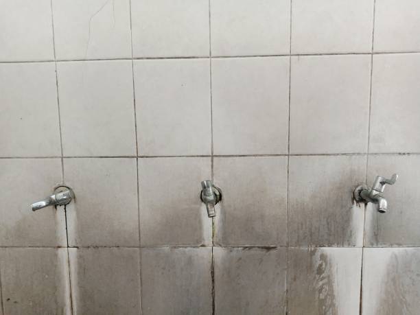 Best Sewage cleanup and water damage restoration  in Moundridge, KS