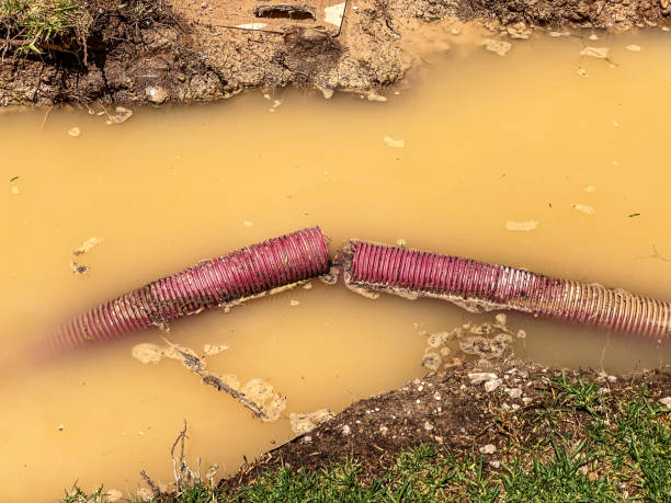 Best Water damage restoration near me  in Moundridge, KS